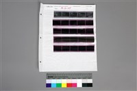 藏品(135黑白負片A-8-25)的圖片